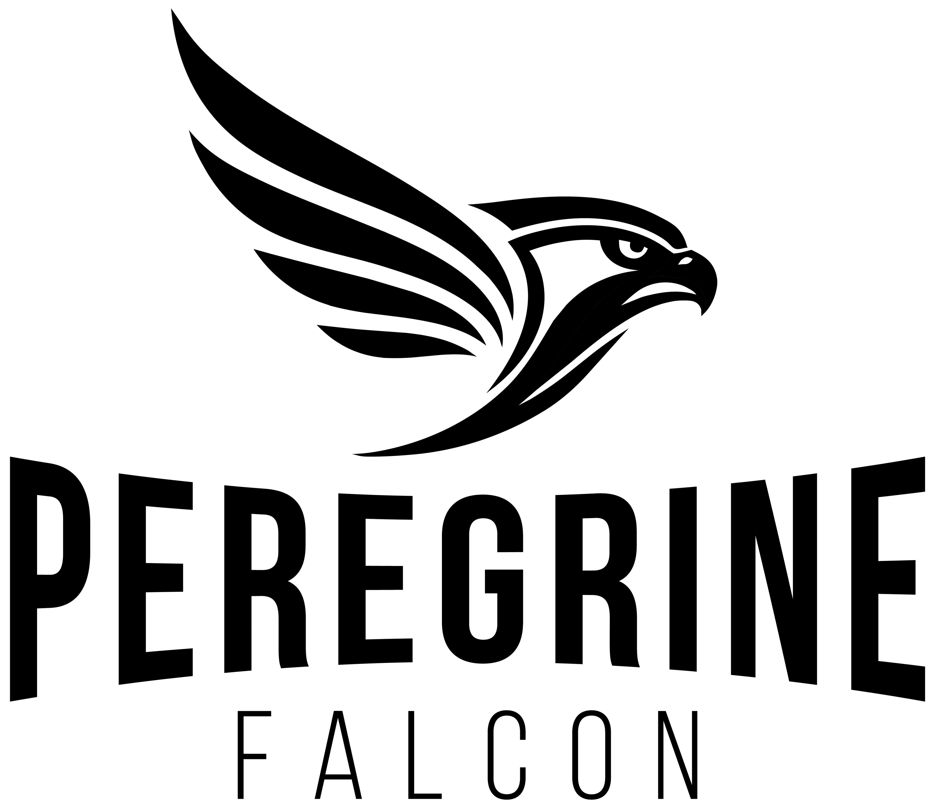 PEREGRINE FALCON